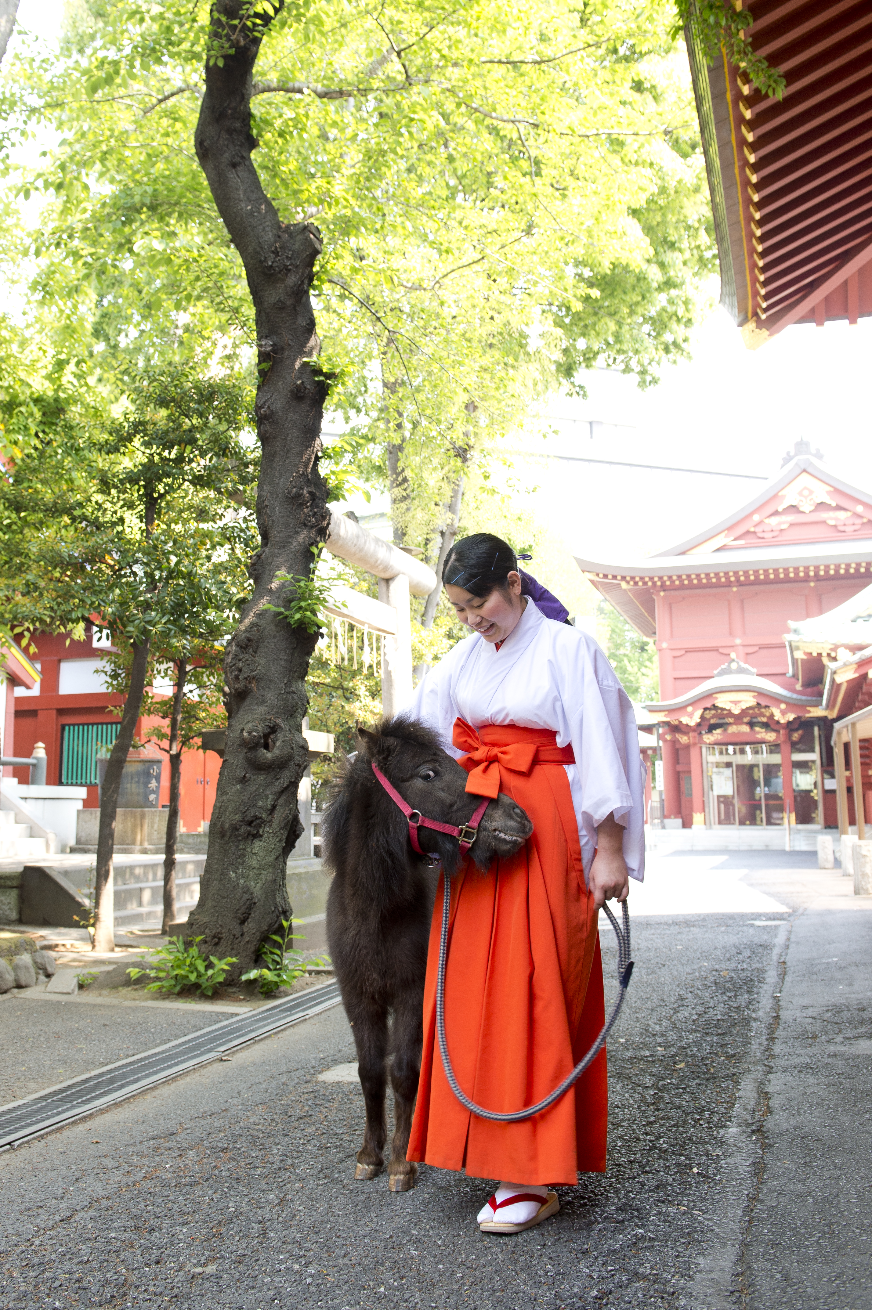 第一回 巫女さん紹介 Br 神田神社巫女 飽戸さんインタビュー 拝見 巫女さんのお仕事 神社検定